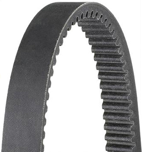 DAYCO HP DRIVE BELT