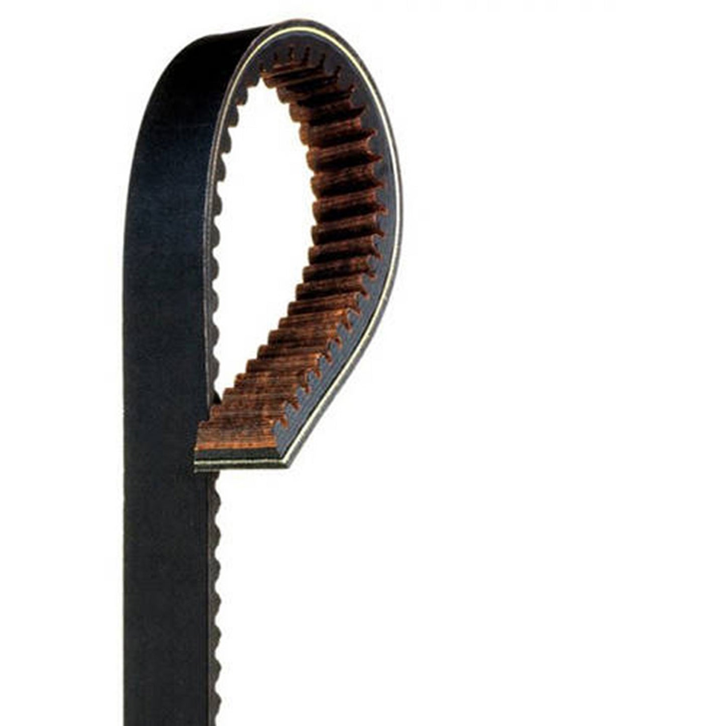 GATES G FORCE DRIVE BELT