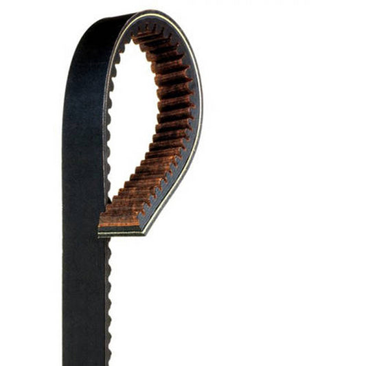 GATES G FORCE DRIVE BELT